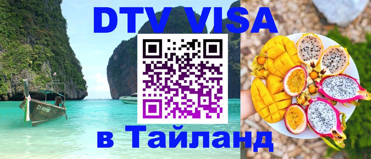 Оформление DTV визы под ключ: стоимость и тарифы, только загранпаспорт - 